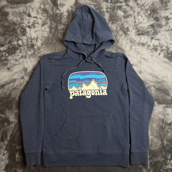 Patagonia Other - Patagonia Organic Cotton Blue Pullover Center Logo Long Sleeve Graphic Hoodie S